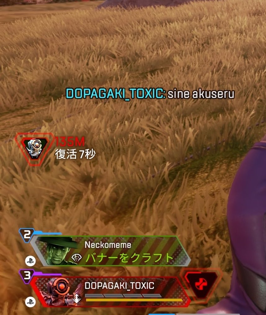 hatiware_gg's tweet photo. Apex晒し

DOPAGAKI_TOXIC
Neckomeme

戦闘中に自分がダウンしたからってピン連打するカスw名前負けしてないねww
下のカスは300ダメしか出てないのでお散歩してるだけで論外😅 https://t.co/Y0kshbMsoS