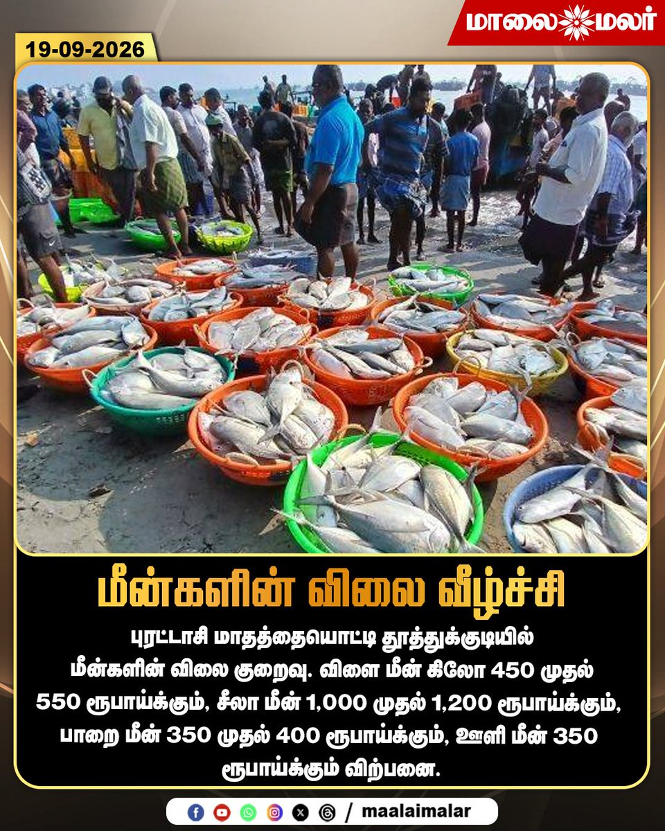 maalaimalar's tweet photo. மீன்களின் விலை வீழ்ச்சி
#Thoothukudi #FishPrice #FishMarket #FishPrices #FishPriceDrop #Purattasi #ThoothukudiNews #TamilNaduNews #Seafood #SeafoodMarket #TamilNews #MarketNews #Maalaimalar #MMNews https://t.co/L4mzrRED9H