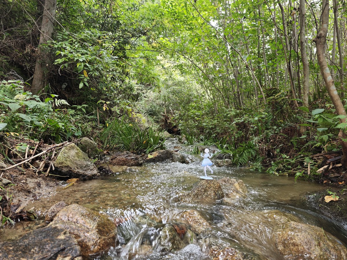 TOMO_FD2's tweet photo. 暗くなる前に水遊びという名の、必死なポーズでスマホを構えて📸

スマホを水没させないように
自分が小川に落ちないように
滑りそうな石破を踏みしめて
関節が変な方向を向きながら
ベストと思うアングルを模索

#花うさ 
#もふもふさんレコード https://t.co/VgcVqGp3VZ