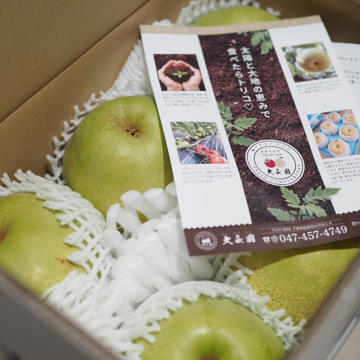 usagi_network's tweet photo. 「かおり」梨
すごく大きい（１つ1kgくらいありそう）和梨で、やや独特な上品な梨のよい香りがします。
そして最強クラスに堅いシャキシャキ食感に甘さとジューシーさもたっぷり。

間違いなく私の知る限り「さいきょう」の和梨の1つです。見て、食べて、幸せになれます。

船橋の大長園さんよりお取り寄せしました。
https://t.co/mMUzva7FOn
