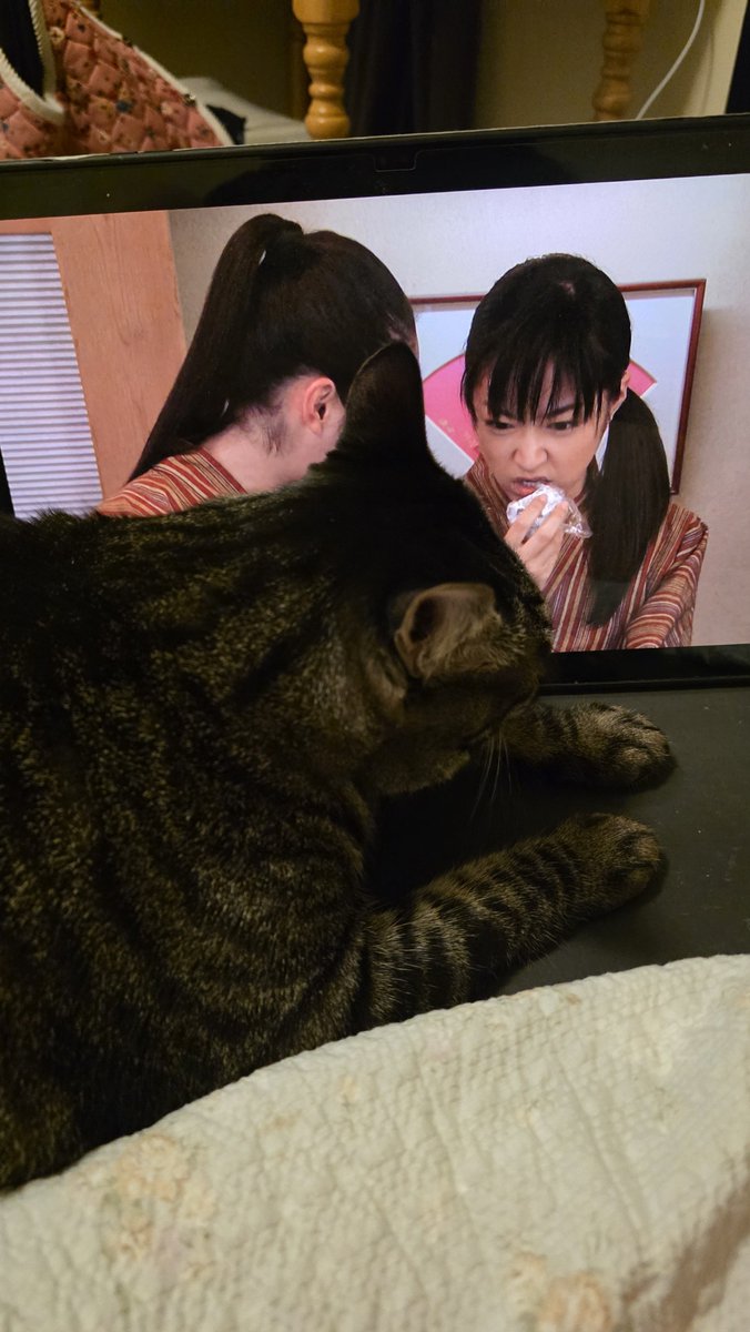 ll___llll__'s tweet photo. 비키거라 https://t.co/qiKeOhllrW