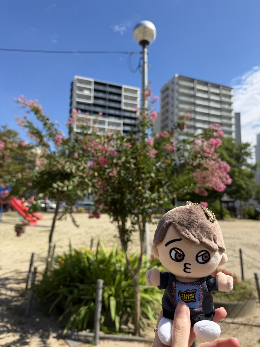 mmmff0880's tweet photo. よこ散歩 https://t.co/yUr0VD5nVm