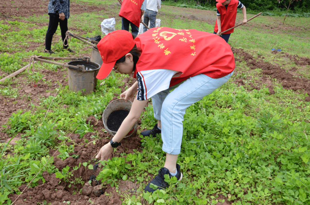 ninit070183's tweet photo. Just wrapped 3 days of community garden volunteering in our city! Planted 200+ veggies, met amazing locals, and now we’re set to feed 50+ families in need next month. Small acts, big impact https://t.co/djTmck3SPC