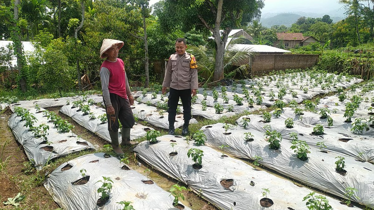 PJogorogo's tweet photo. Bhabinkamtibmas Kendal Monitoring Cabai di Pekarangan, Dukung Ketahanan Pangan Warga https://t.co/KB8l1QUF5M