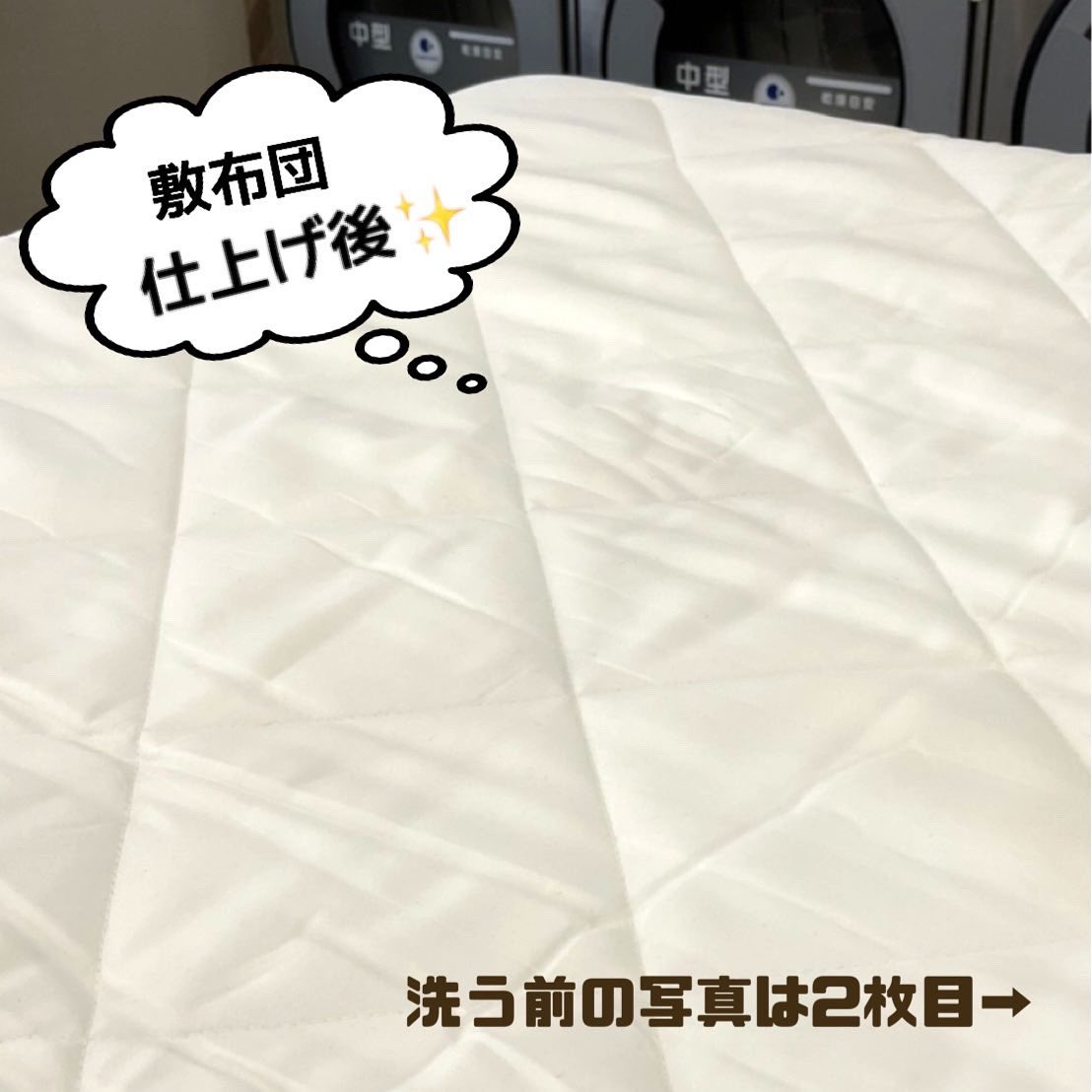 FutonTokushige's tweet photo. お困りの際はお気軽にご相談ください👍

　・お子さんのおねしょ
    ・ペットの粗相
　・汗じみ　など

おまかせ丸洗いなら、シミ抜きサービス✨

※時間の経過したシミは落ちにくくなります。なるべくお早めにお持ちくださいm(_ _)m https://t.co/S1ErB3hbeY