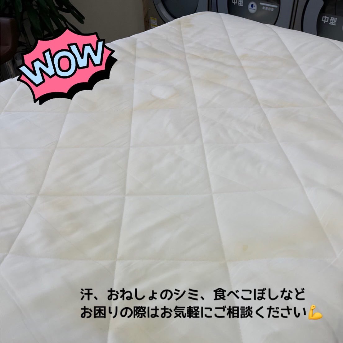 FutonTokushige's tweet photo. お困りの際はお気軽にご相談ください👍

　・お子さんのおねしょ
    ・ペットの粗相
　・汗じみ　など

おまかせ丸洗いなら、シミ抜きサービス✨

※時間の経過したシミは落ちにくくなります。なるべくお早めにお持ちくださいm(_ _)m https://t.co/S1ErB3hbeY
