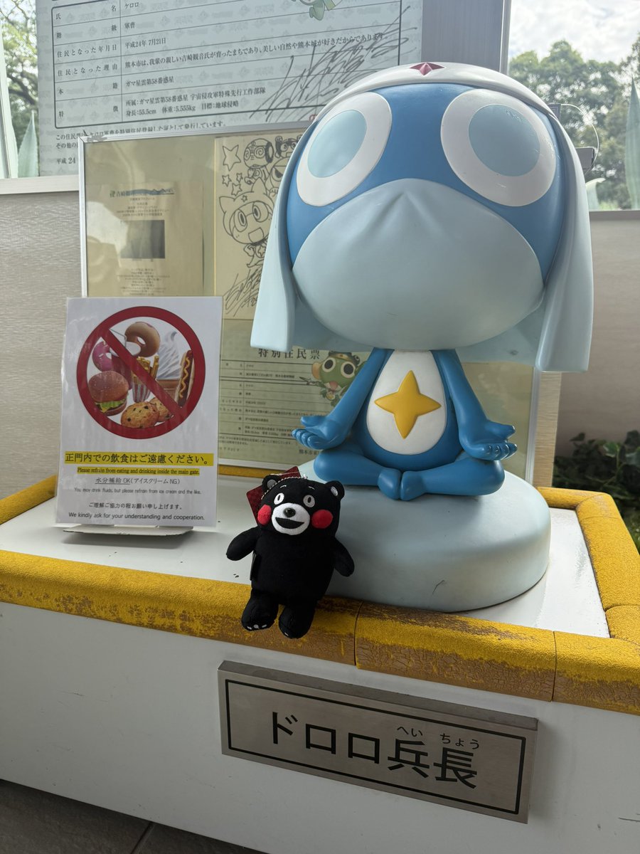 guchi819's tweet photo. 熊本駅でミニくまもんをお迎えして動物園にやってきた
世界最大級のハトが見れるのは日本でここだけらしいのでずっと来たかった☺️ https://t.co/Aihb6KyzH6