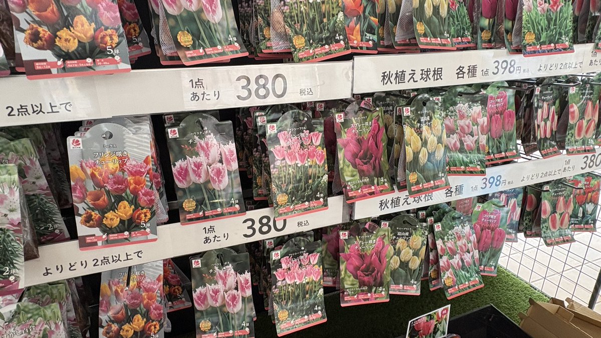 ni_kan's tweet photo. カインズ、もうチューリップの球根販売スタートしてる！
チューリップの球根は売れて少なくなっても補充されないから早めに買っておこう🌷 https://t.co/KLFxcEuaKa