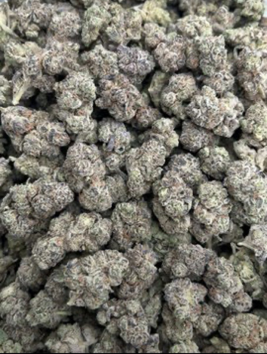 D420plug's tweet photo. Girls scout cookies
Good smoke ⛽💨

AVAILABLE IN BIT N BULK 📦
☎️ORDER ON TELE: https://t.co/idyVABFUvQ

NEED SOMETHING ELSE?
SHOP ON MY DISCORD 🏪
https://t.co/VHIczXNwDx https://t.co/Se67P9bcyY