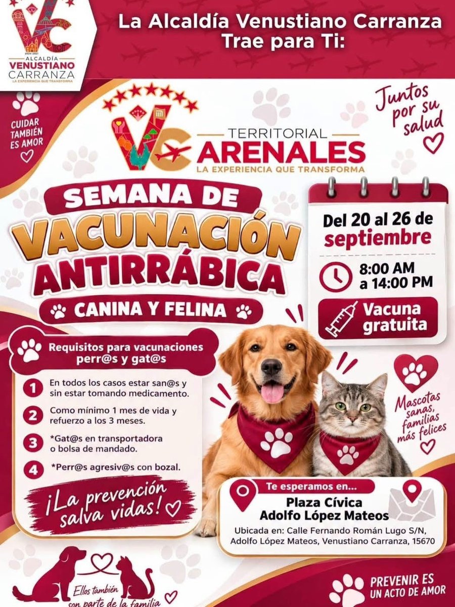 evelyn_parraA's tweet photo. ¡Cuidar también es un acto de amor!

Del 20 al 26 de septiembre, participa en la Semana de Vacunación Antirrábica Canina y Felina. La vacuna es gratuita 🐶🐱❤️

📍 Plaza Cívica Adolfo López Mateos
🕗 8:00 a 14:00 horas

Protejamos a nuestras mascotas. 🐾

#EvelynParra #VCarranza #VacunaciónAntirrábica #CuidarTambiénEsAmor