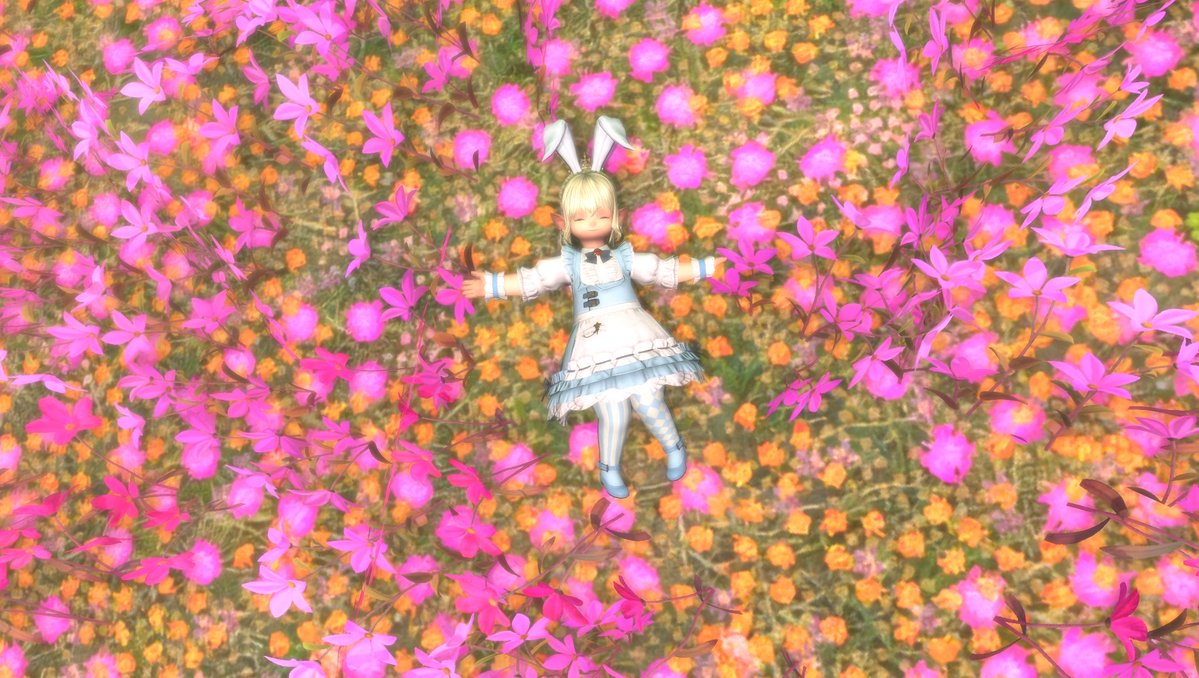 siuchan028's tweet photo. ありがとうララフェル https://t.co/yKiSnJ9MjB