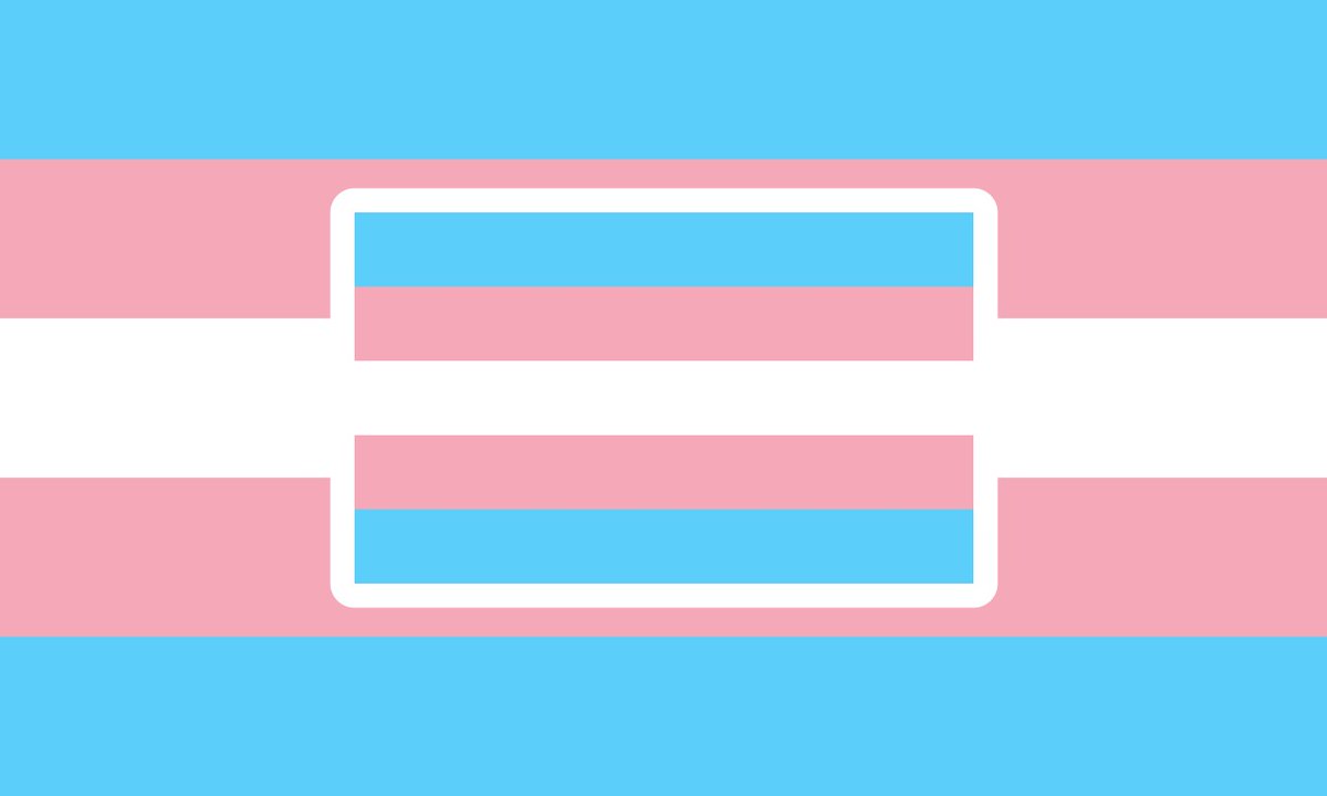 EDENBESILLY's tweet photo. Trans flag for people who love the trans flag https://t.co/Vhc2tzNs5l
