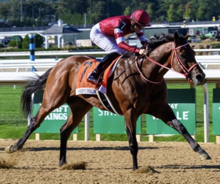 RacingDownWind's tweet photo. RDW Community, Saturday Game Plan

Where do you plan to play tomorrow?

A. New Belmont Park
B. Churchill Downs
C. Parx 

@TheNYRA @ChurchillDowns @ParxRacing @BreedersCup https://t.co/bco5g4fVPa