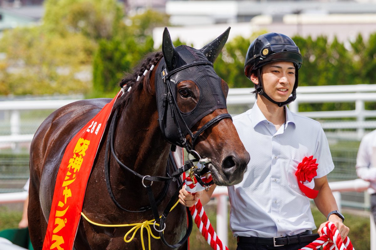 __tpuma's tweet photo. 2026.09.19
4R 阪神ジャンプS
📍阪神競馬場

オオキニ
森一馬騎手
鈴木孝志厩舎

重賞初勝利おめでとうございます😭👏✨ https://t.co/oAVbRb13IJ