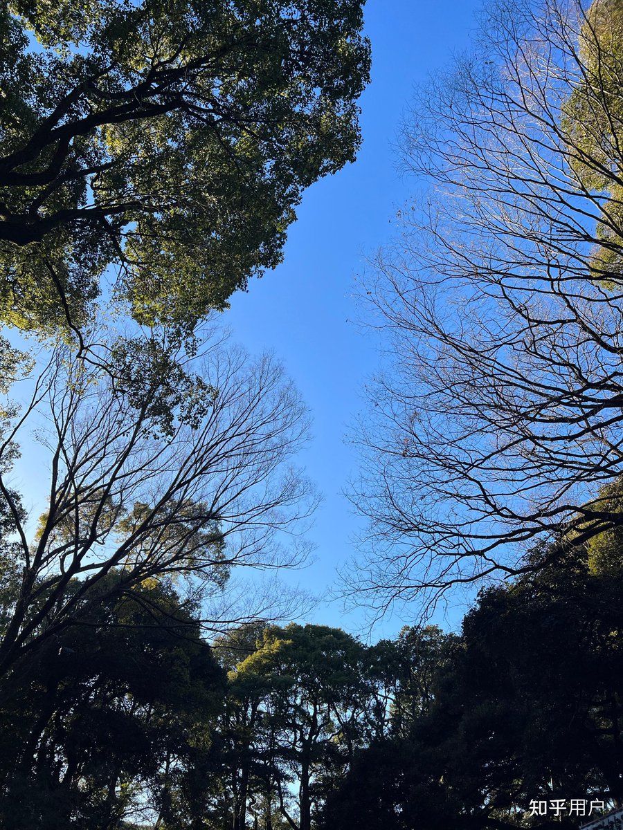 aniks144038's tweet photo. Just landed in Tokyo! Neon lights, street food and adventure await—can’t wait to explore this amazing city. https://t.co/jjvzvwJcPx