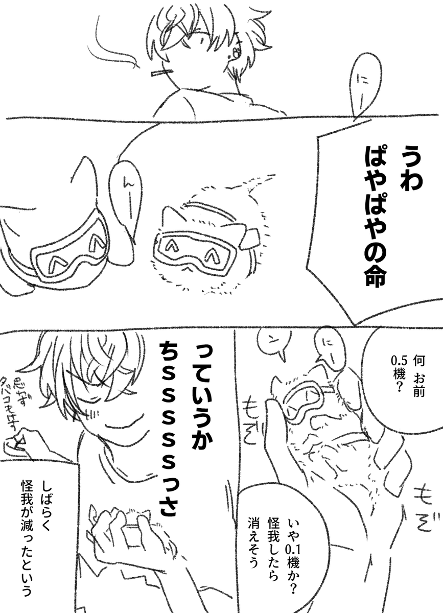 hiru_andon__'s tweet photo. ぱやぱやの命 https://t.co/HAZKzCsPaj