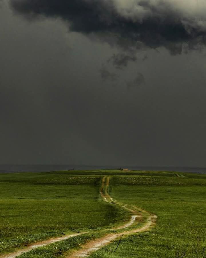 natureaest's tweet photo. Storm https://t.co/FhoA8FNiXr