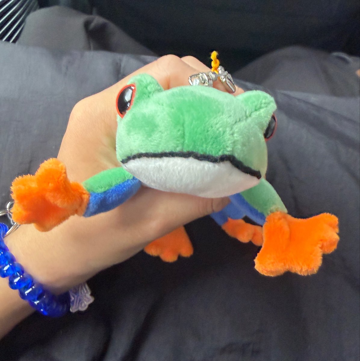 ru_neko_28's tweet photo. 毎回SA行ったら居るカエルのぬいぐるみのキーホルダーマジで可愛すぎて今回やっと買った。 https://t.co/V349jb9SzL
