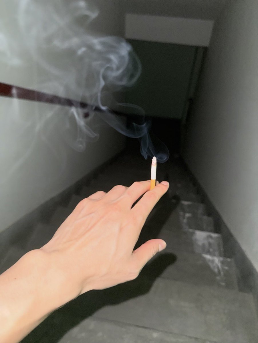 zvl1u's tweet photo. بعد كل تمرين اخربها بسكاره🚬❤️‍🔥 https://t.co/UjBxqgK6my
