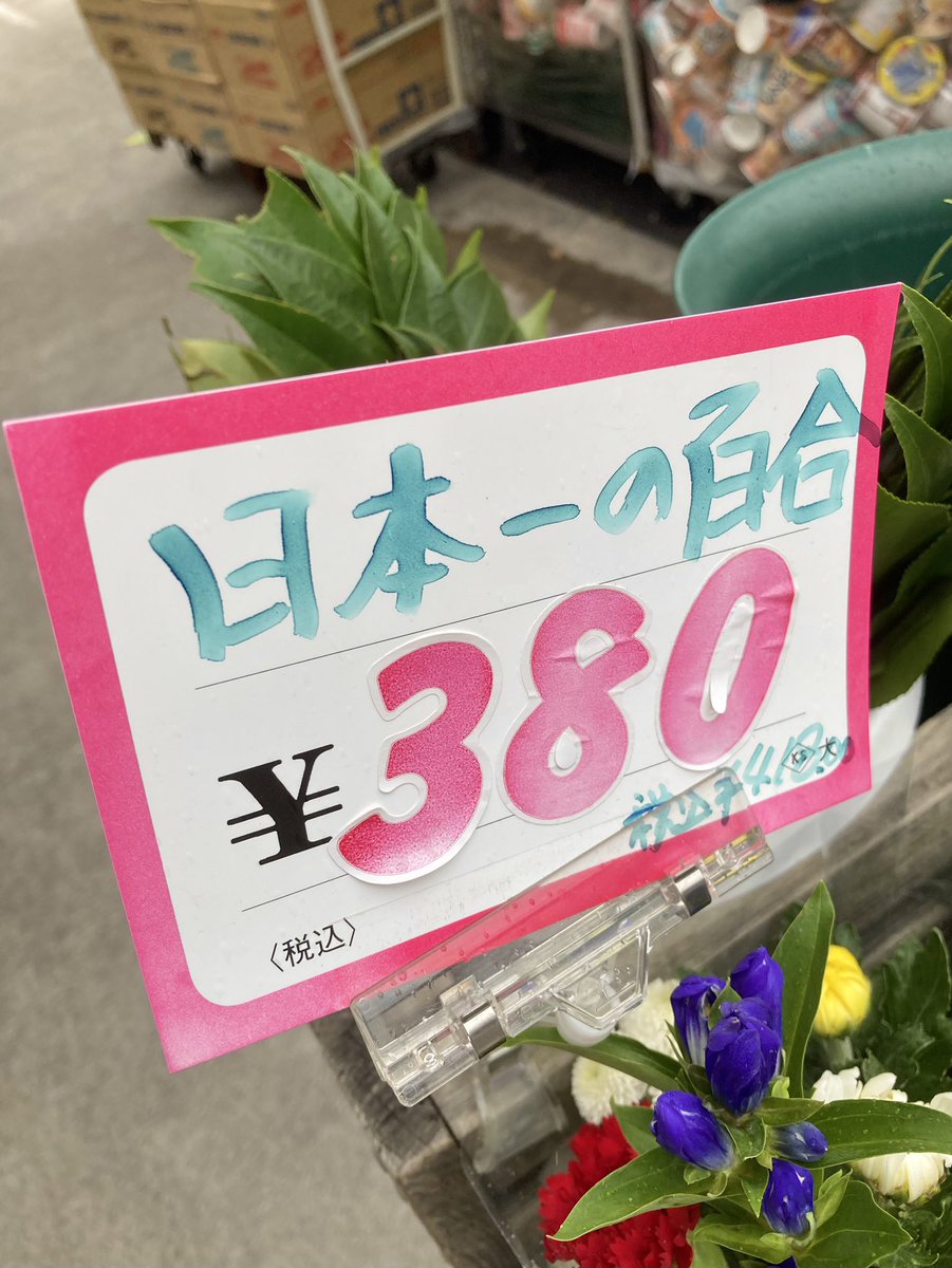 nuta_nuta_unagi's tweet photo. ジャパニーズ・ナンバーワン・レズビアン https://t.co/pV3cqh6RqK