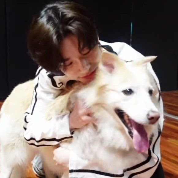 ikeuiful's tweet photo. puppy with puppies https://t.co/1JAUxHMhQa