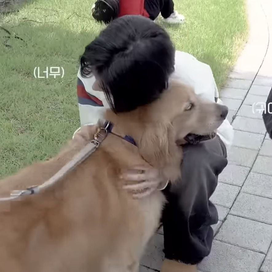 ikeuiful's tweet photo. puppy with puppies https://t.co/1JAUxHMhQa