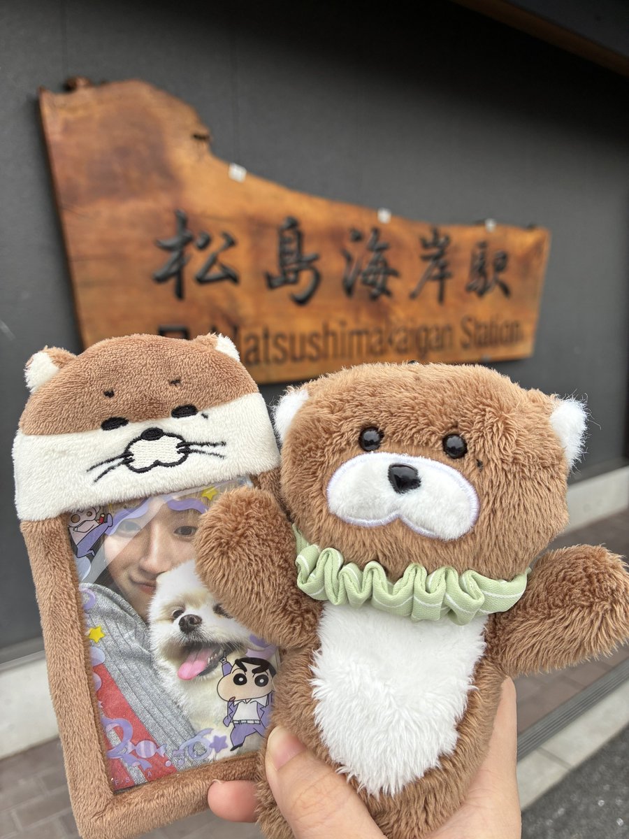 iiiiiindoor's tweet photo. 松島〜🤍
のどかすぎて最高だ✨
宮城限定のタリーズずんだシェイク🫛 https://t.co/XZFpHT13Z0