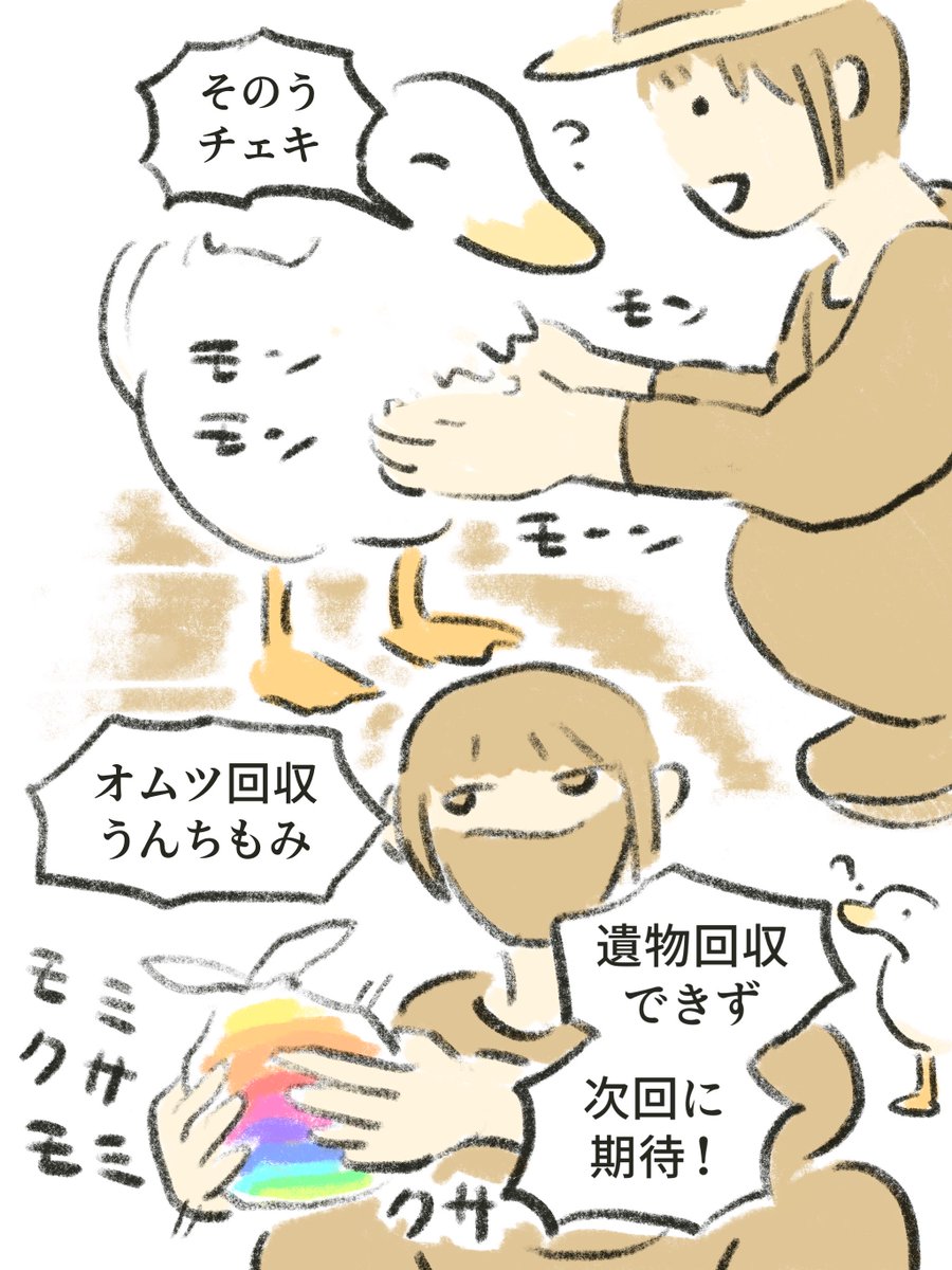 human_tomodachi's tweet photo. モン診 https://t.co/8BFCqLSgXG