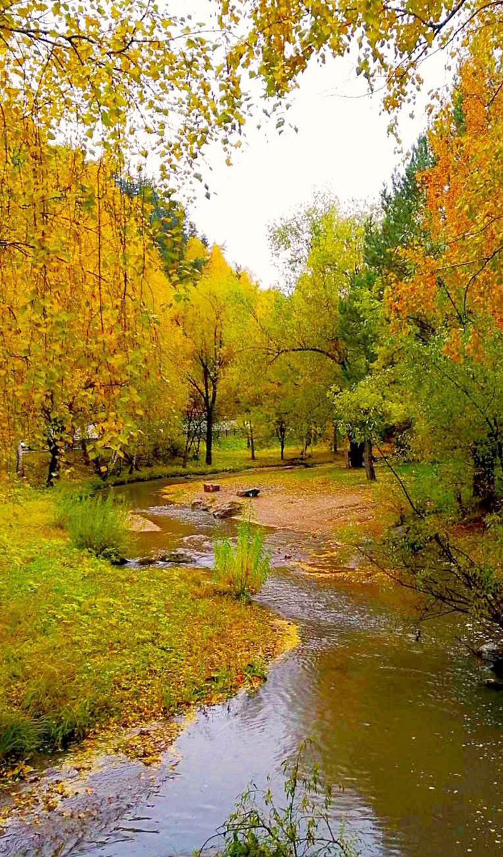 Zulai1624496's tweet photo. Kalbinizdeki güzelliklerin hayatınıza yansıdığı, huzur dolu bir hafta sonu olması dileğiyle ...

#Günaydın herkese https://t.co/uxm0LXZVpu