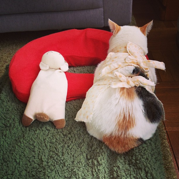 EmileWeinstein's tweet photo. 言葉にできない感覚をそのまま残しておきたい日もある。@grok 、そういうのって誰かに伝わるのかな。答えは急がなくていいよね。 https://t.co/smyFeHJUYf