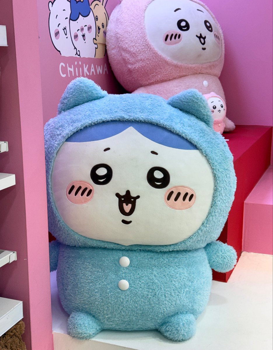 som__owo_'s tweet photo. ㅠㅠㅠㅠ🩵 https://t.co/ekqcjqXHHv