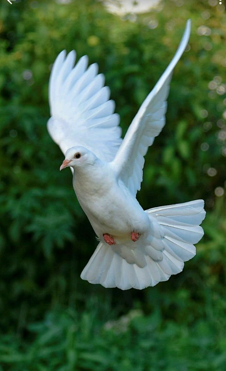 Kral7572's tweet photo. Kaçan da Allah'ı yardıma çağırır, kovalayan da...
Ne acip! https://t.co/N9eX6D4hcm