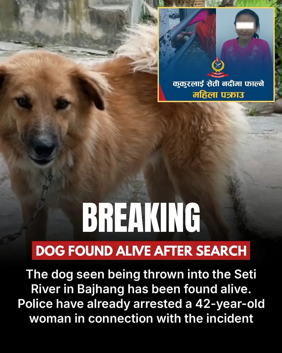sidhshuk's tweet photo. Dog is alive and the lady has been arrested!
#civcsense #dogs https://t.co/mabNb2dKGX