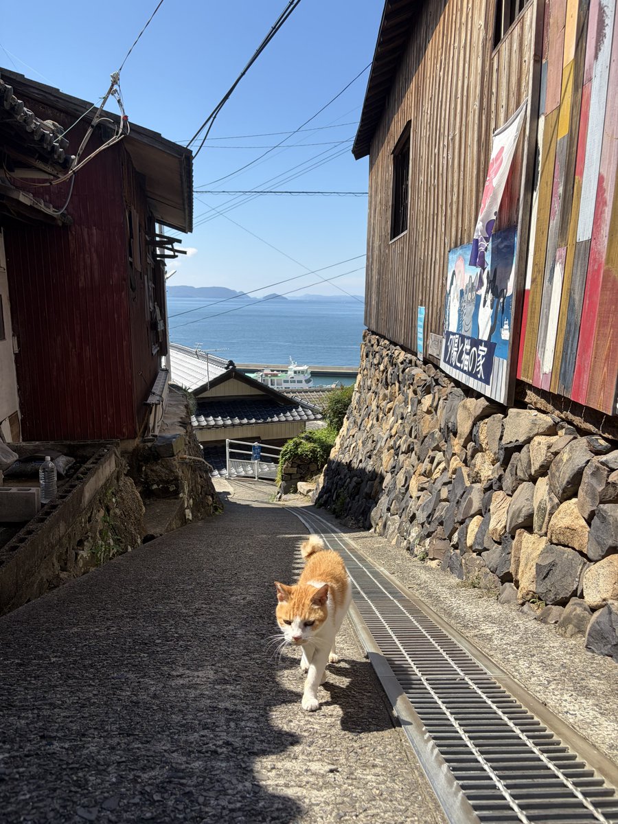 usiaaaaaa's tweet photo. サマポケ目的で男木島来たけどシンプルに景色が良過ぎるわ https://t.co/VAMomhqJEi
