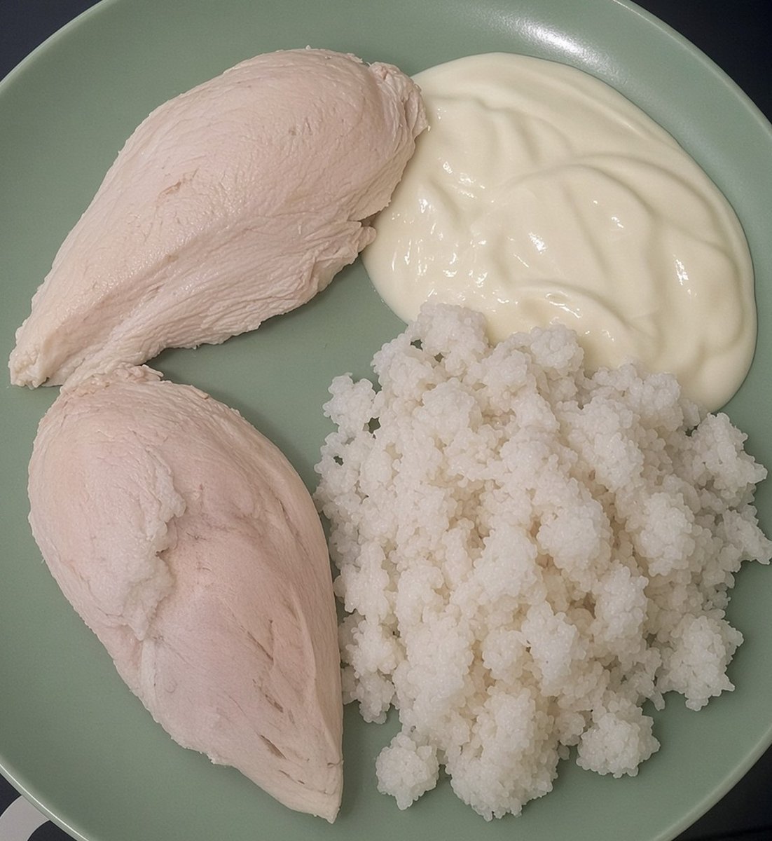 adventure_bloom's tweet photo. Boiled Chicken, Greek Yogurt &amp; White Rice. What’s missing here? https://t.co/3kdJYCuYnx