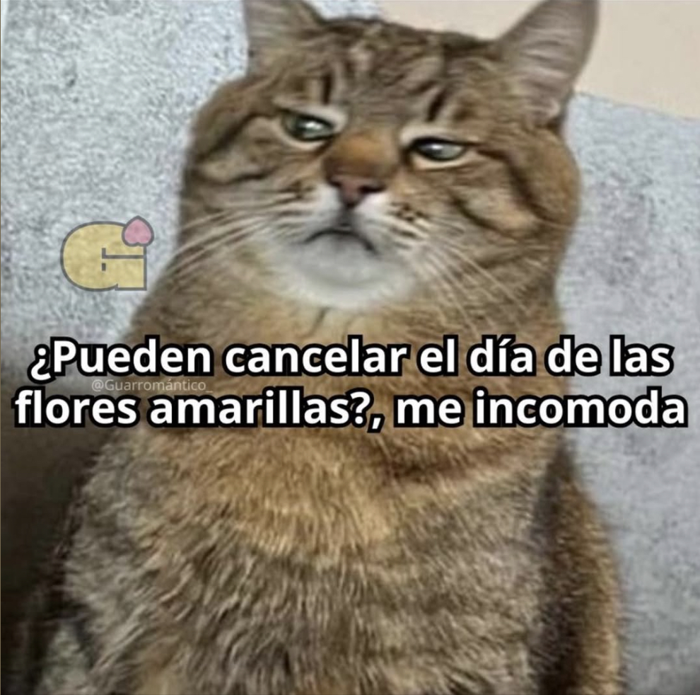 Guarromantico_'s tweet photo. Me incomoda. https://t.co/mDXFtRhBKx