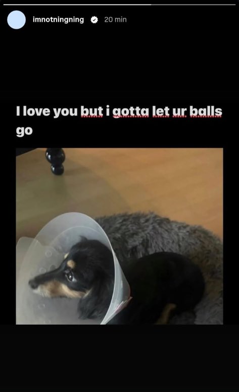 yogiga0's tweet photo. Pls don’t leave me https://t.co/XsKAyMcG7u