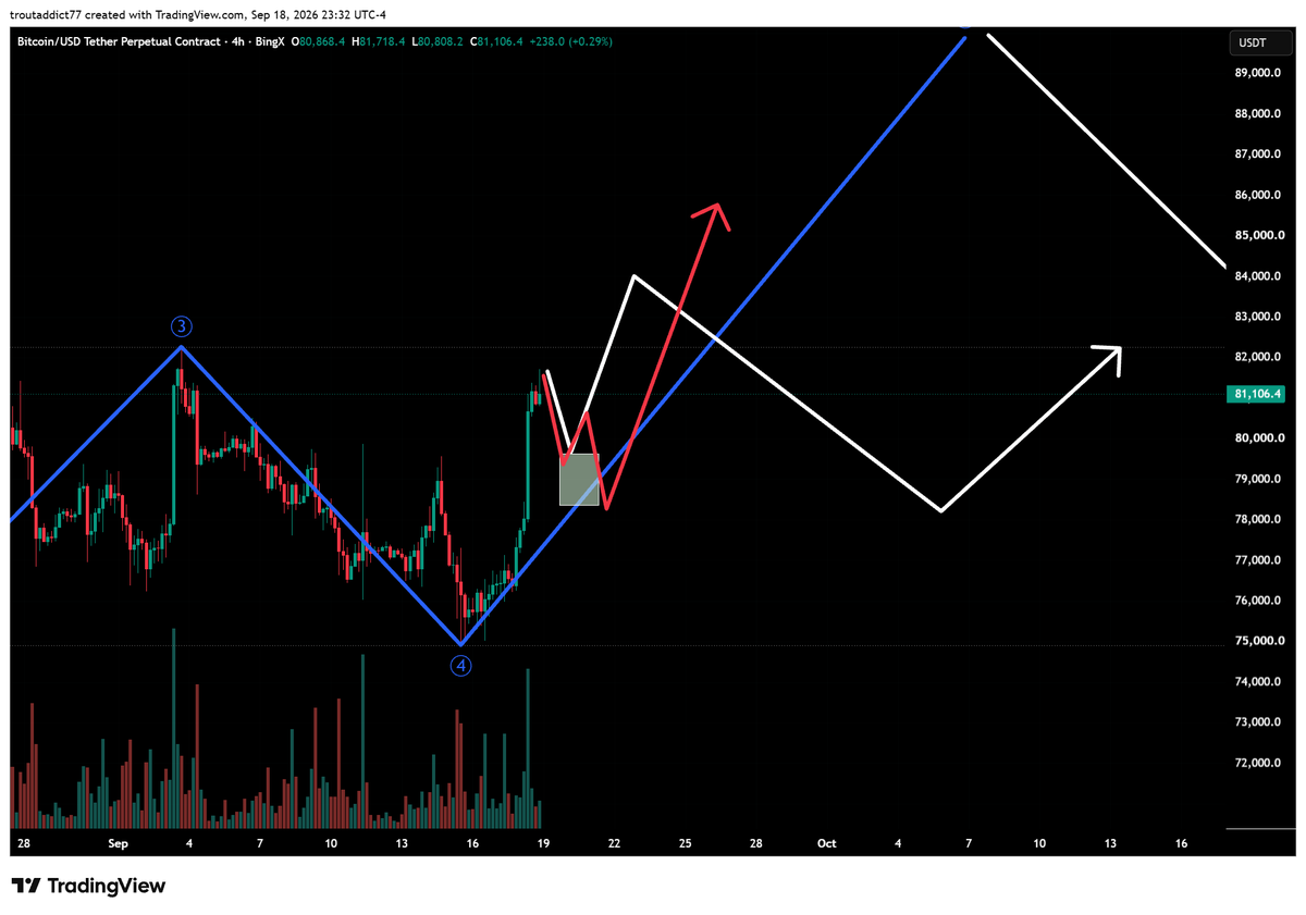 TroutZander's tweet photo. btc next scenarios https://t.co/G7MuviwB54