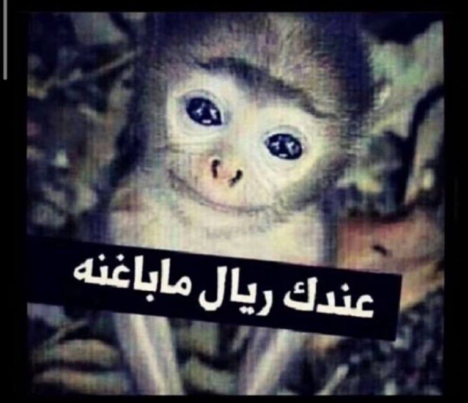 emptylsoul's tweet photo. طقوسي بعد التخرج https://t.co/MWdBRW31BO