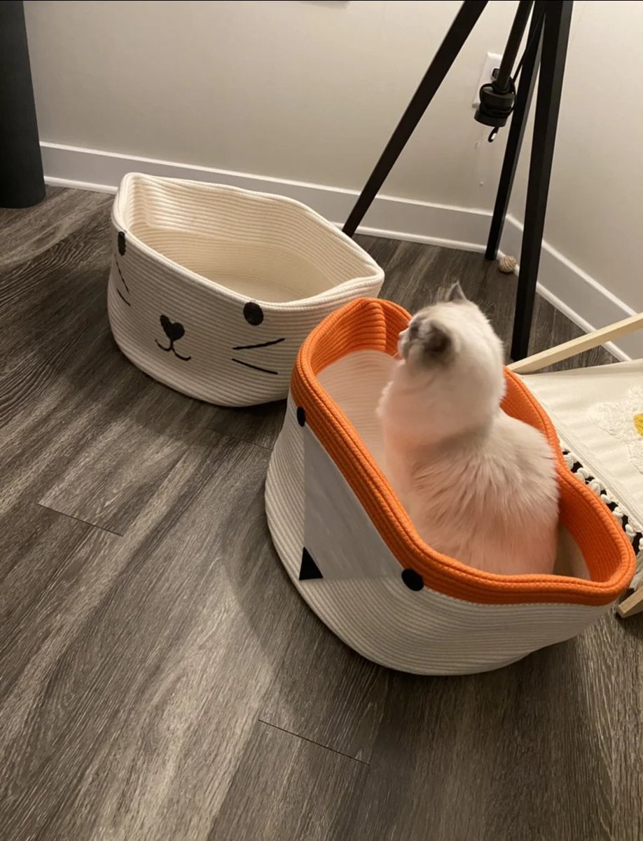 boott456312's tweet photo. Just finished folding 3 loads of laundry while my cat decided to take over the clean laundry basket. https://t.co/acZJvJGdY0