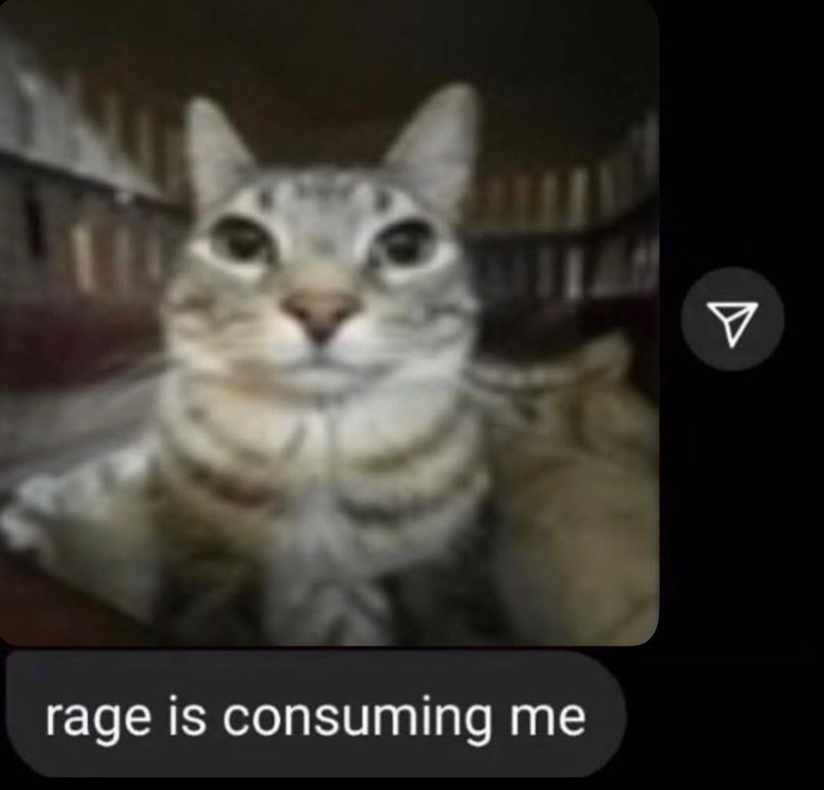 PunchingCat's tweet photo. https://t.co/4BPmXrM3qW