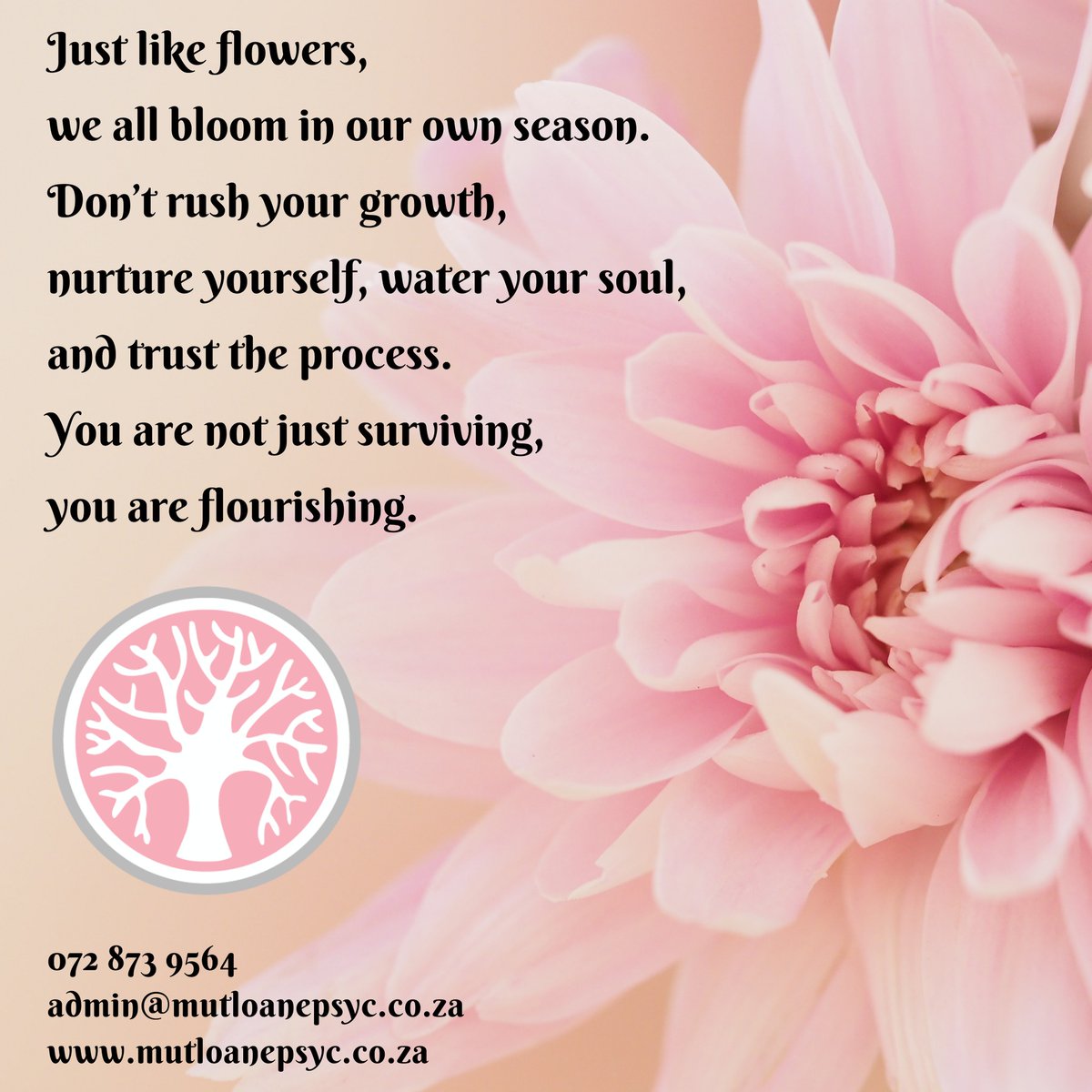 ThomasSantoip4's tweet photo. Just like flowers, we all bloom in our own season. 🌷 Don’t rush your growth—nurture yourself, water your soul, and trust the process. You are not just surviving, you are flourishing. Whatsapp
Call: +27 72 873 9564
Email: admin@mutloanepsyc. co. https://t.co/uV4Xj9a7sY