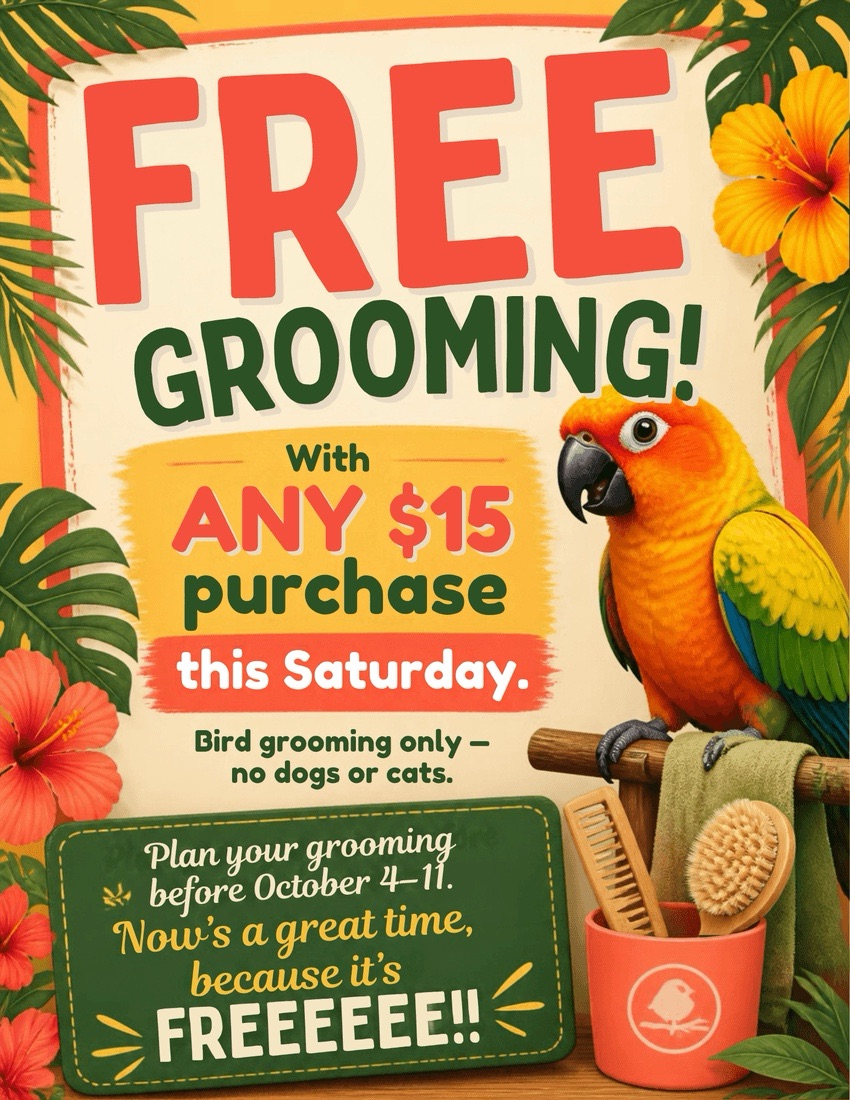 RhondasAviary's tweet photo. Saturday September 19th https://t.co/6AALFX7Jpw