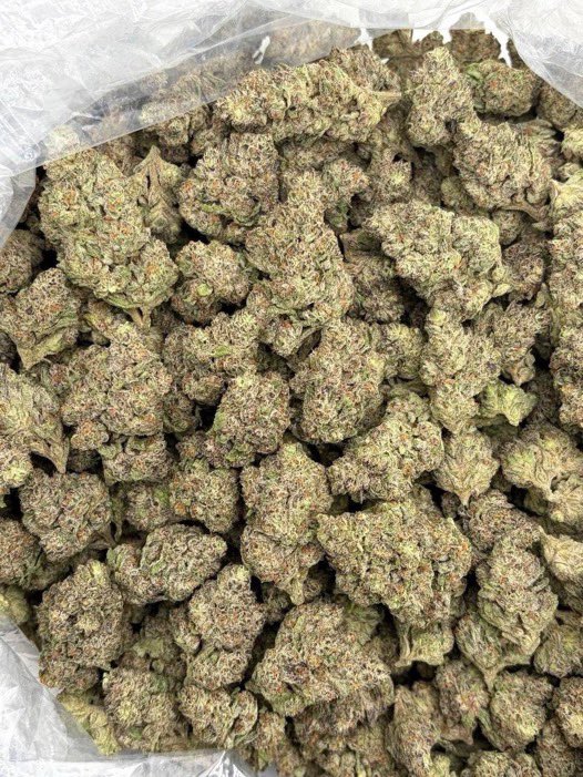exoticf6's tweet photo. Blue Slushee ✈️🔥💯📦

$700
+1 7653352982

https://t.co/jN4STjDrwX

https://t.co/zK79wS8Ckb https://t.co/BY1WYDKGRB