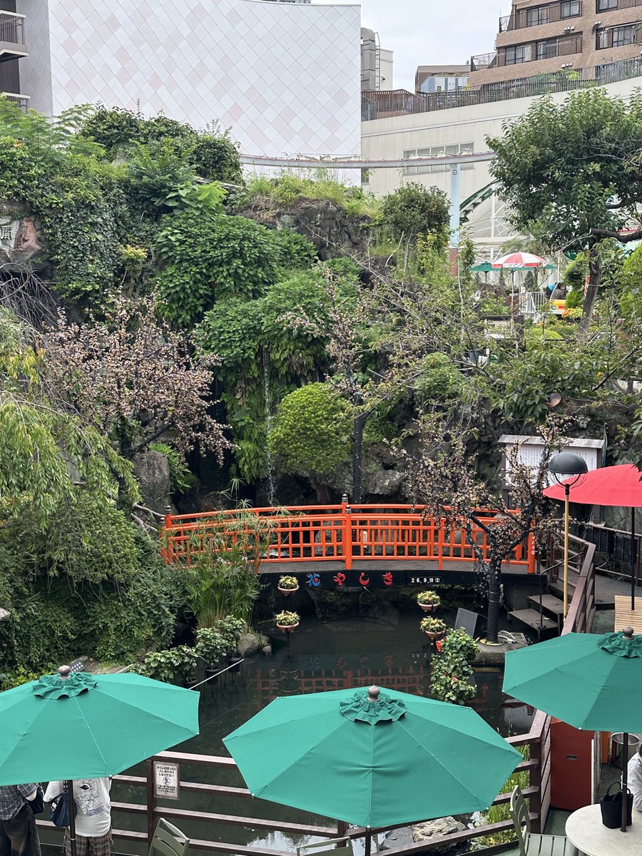 yansman1911's tweet photo. 小雨だけど浅草花やしきノスタルジックでちょー楽しい！ https://t.co/yGOapMVUPy