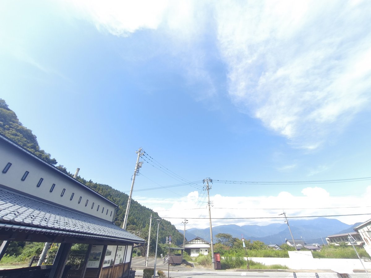 TDN____OTK's tweet photo. え…………………大自然だ…………… https://t.co/pg61D0OMHW