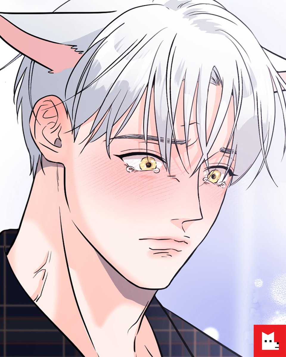 LezhinComics's tweet photo. 울지 마 바보야😭
However, 
(🔒가끔은 괜찮을지도.)

우는 남자가 좋은 이유 모음 Zip📁
https://t.co/g7VQ19dhZd

#뿌리없는나무 #지우와우연 
#이리사랑스러운너 https://t.co/gDM5kIciuS
