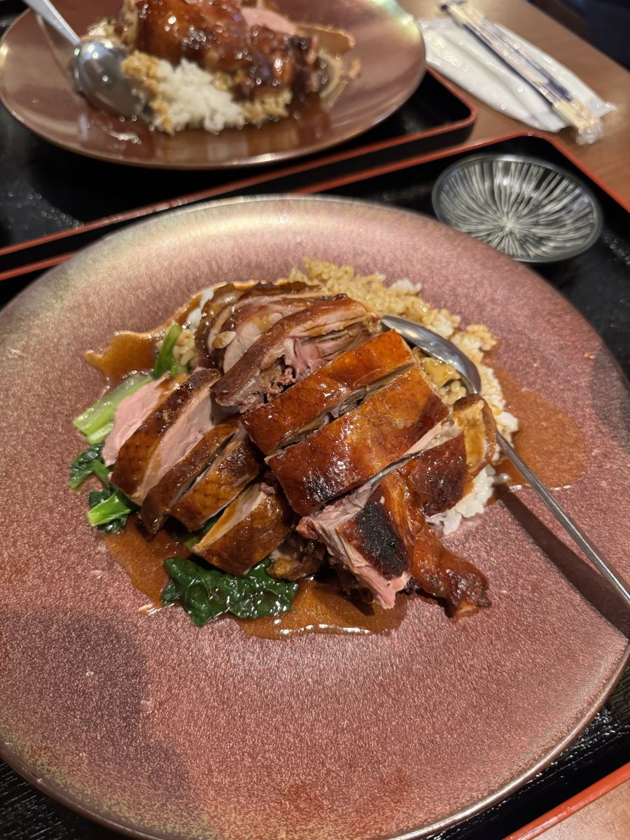__ooOAOoo__'s tweet photo. 私が今まで食べた中で、一番美味しい鴨肉丼だと思います😋✨ https://t.co/4Zbk15EOHb