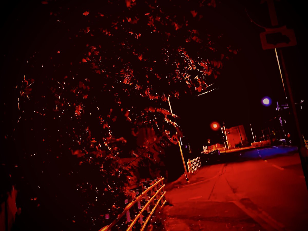 SHOUovhz's tweet photo. 【写真でホラー】夜のお散歩、血の名残り（札幌市中央区、坂）。 https://t.co/HoX0ye4IFT