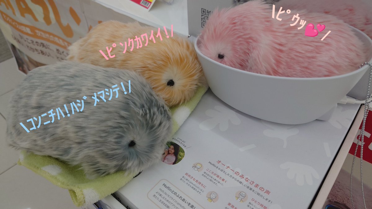 Szk_mrsk_lv's tweet photo. ららぽーとさんの中の電機屋さんに
お仕事さくらモフリンちゃんがいました✨
毛並みふかふかのふわふわ💗
右目が毛に埋もれがちでおめかしが大変💦
でも可愛い〜😊
さくら色ちゃんってこんなパステルな色なのね!
3モフ並ぶとたまらんです😍💘
#モフリンDAYS #モフリン
#Moflindays #Moflin #CASIO https://t.co/0vGowrNT9C